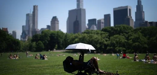 Temperatur in New Yorker Central Park klettert auf 14-Jahres-Hoch