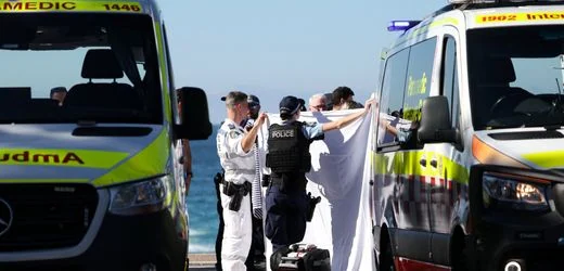 Sydney: Frau bei Hai-Angriff lebensgefährlich verletzt