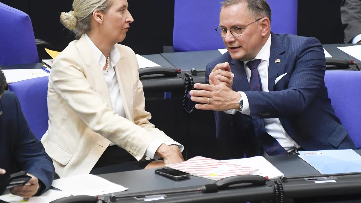La cúpula de la ultraderechista AfD revalida mandato antes de las cruciales elecciones regionales