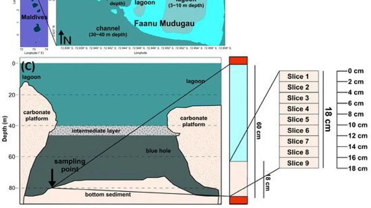 Maldive, uno studio documenta missioni dell’Università di Genova a 82 metri di profondità