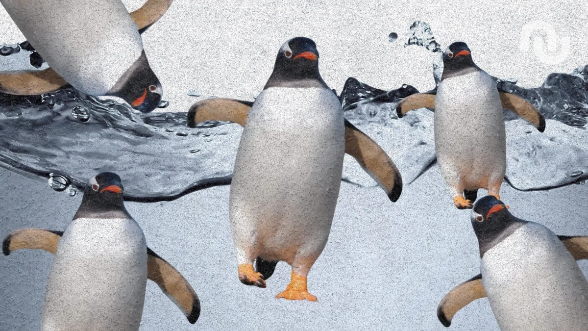 « Une agitation parfaitement inutile » : l’IA peut-elle noyer Linux sous les faux bugs ?