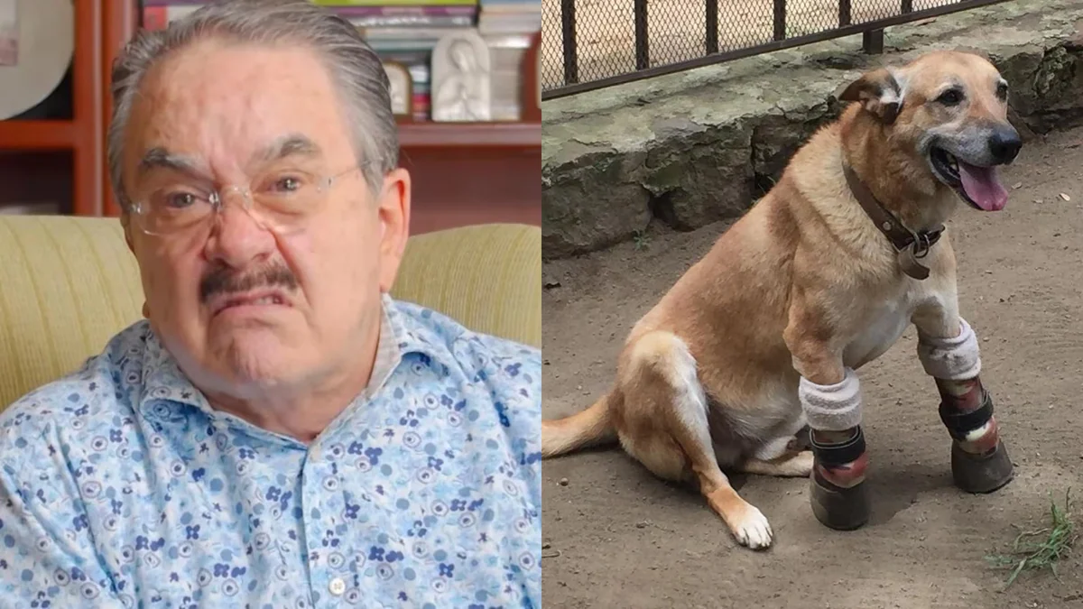 Aseguran que Pedro Sola maltrató al perrito “Pay de Limón” durante grabación de Ventaneando