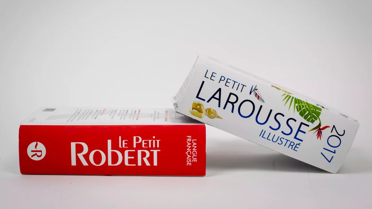 «Dis-moi Robert» : le dictionnaire Le Robert répond désormais grâce à l’IA