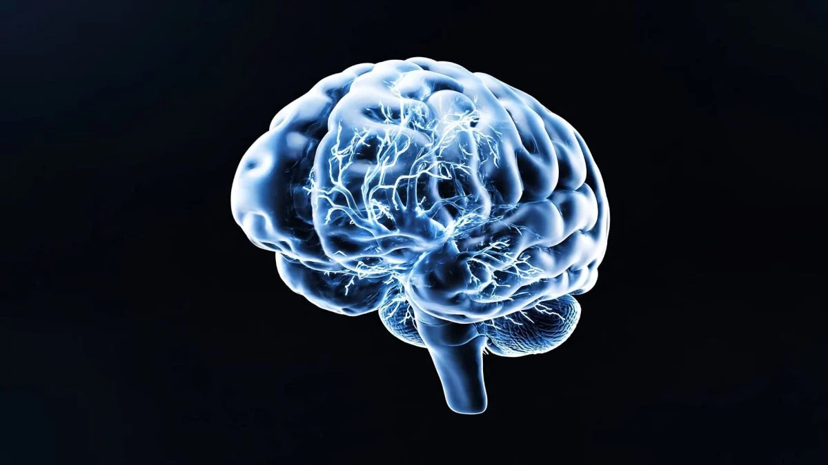 Neuralink parvient à insérer son implant sans découper la membrane protectrice du cerveau