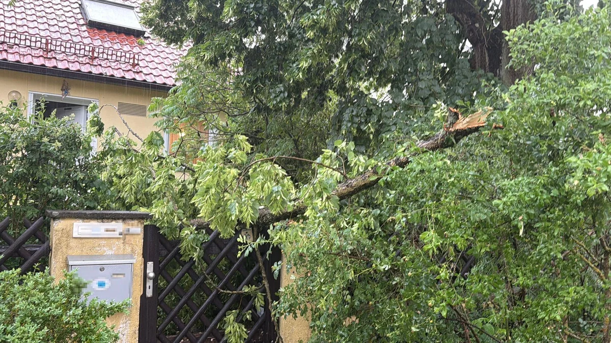Unwetter in Bayern: Entwurzelte Bäume, umgeknickte Strommasten