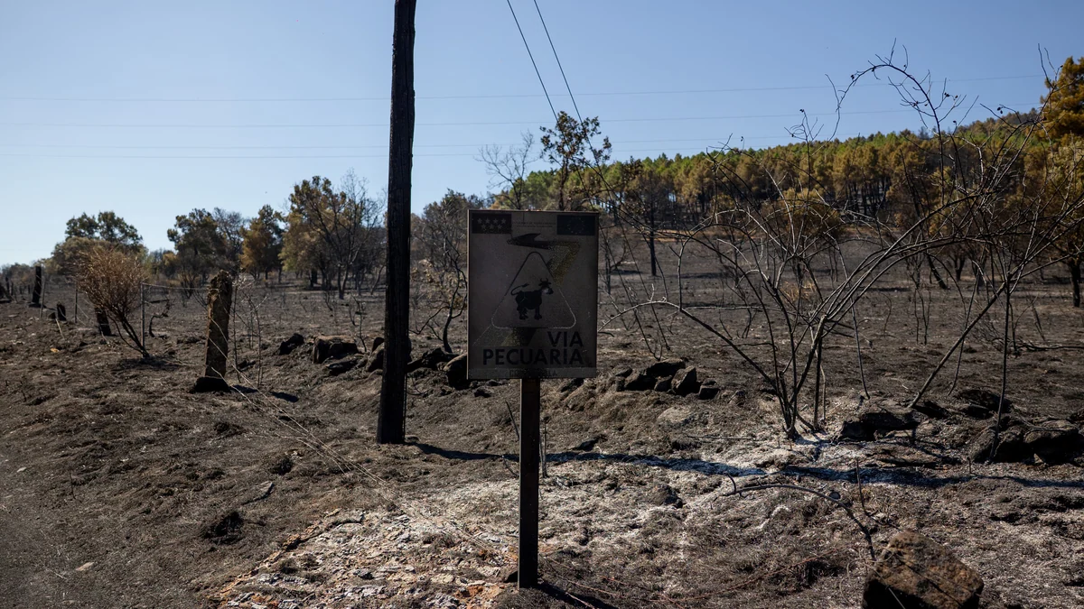 Así se protege Madrid de los incendios: estas son las actividades prohibidas durante todo el verano