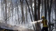 Twelve die in wildfire in Spain as heatwave continues in southern Europe