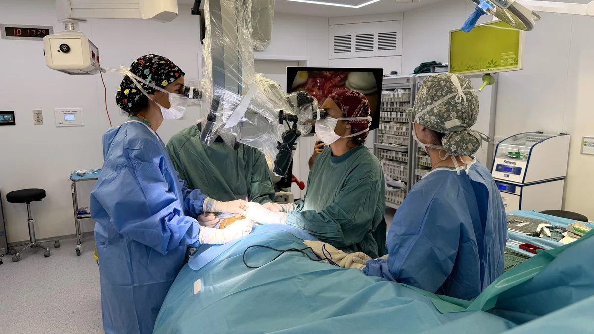 Cirugía del alzhéimer: una técnica experimental trata de ralentizar en el quirófano el deterioro cognitivo