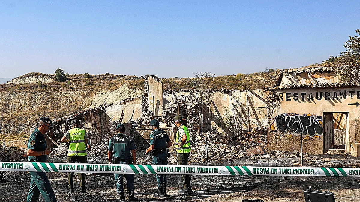 ¿Cómo pudo originar el fuego de Los Gallardos un cable "sin electricidad desde 2009" según la compañía Endesa?