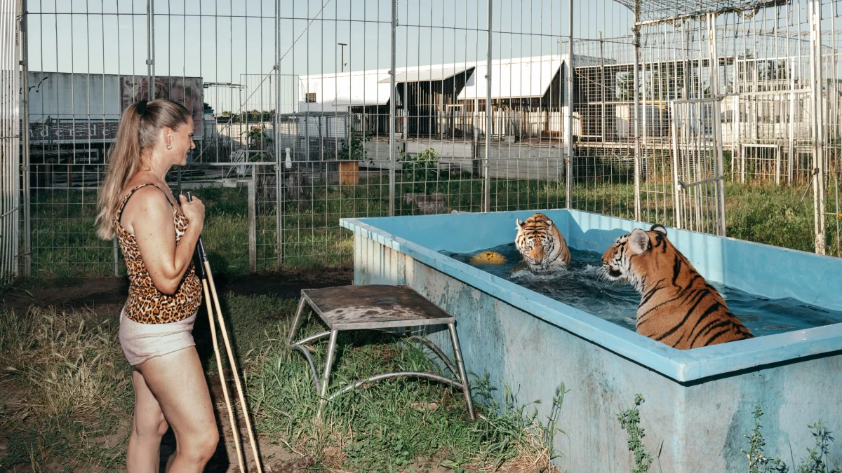 Umstrittene Dompteurin: „Ich werde immer für meine Tiger da sein, auch in schwierigen Zeiten“