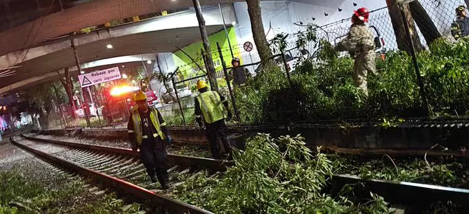 Tren Ligero “El Ajolote” suspende servicio por caída de rama y rompe ruta a Xochimilco