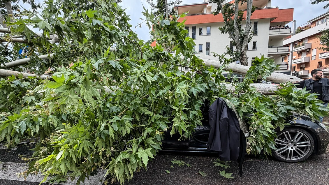 Maltempo: tromba d'aria a Roma, alberi caduti e traffico in tilt