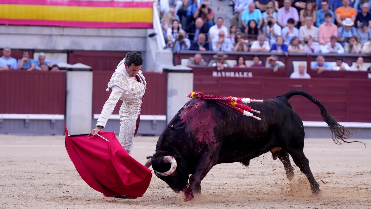 Una buena corrida, mucho corazón y mala cabeza en Las Ventas