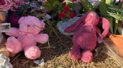 Child protection workers stood down after alleged murder of Australian child