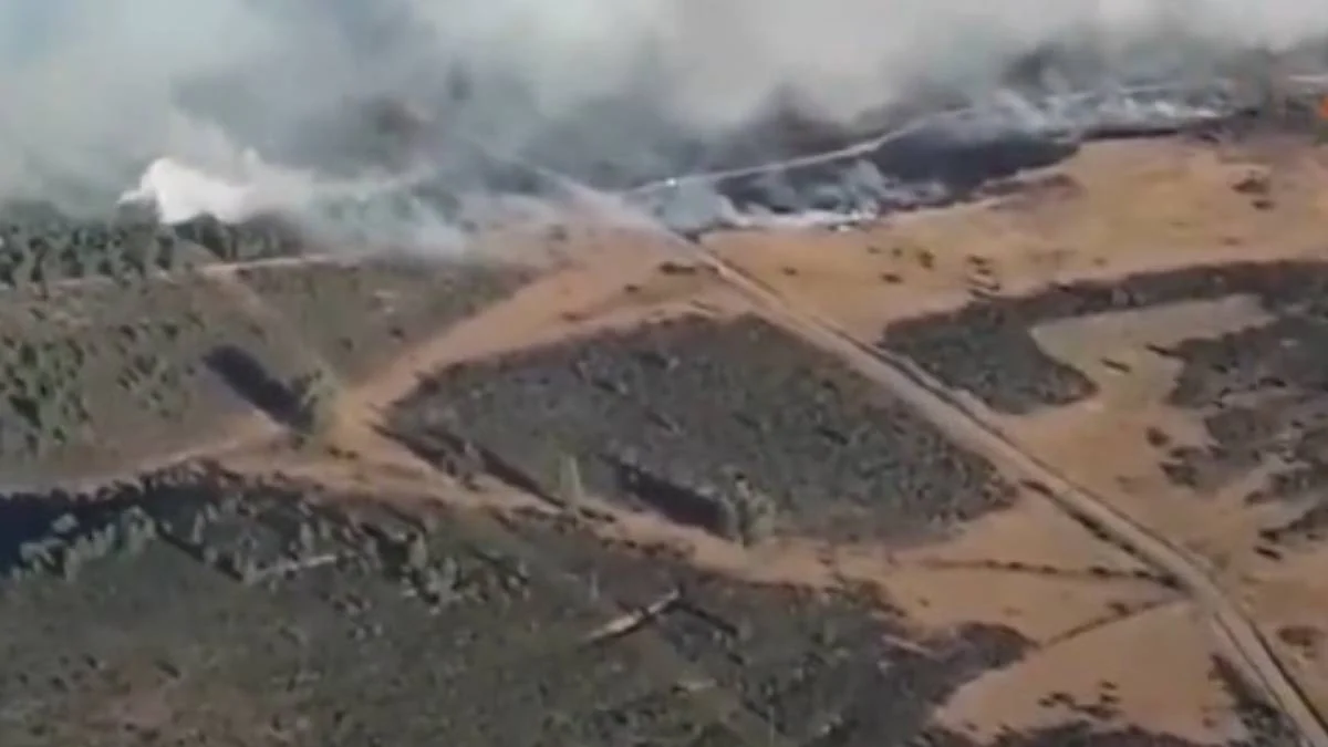 Un incendio en La Mierla (Guadalajara) obliga a evacuar a unas 100 personas y afecta a 1.500 hectáreas