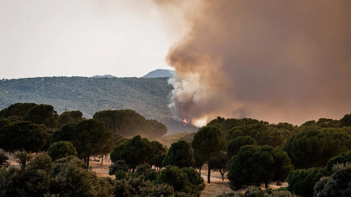 Ministros lamentan los incendios y agradecen a los profesionales su labor: "Duele ver arder nuestro territorio"