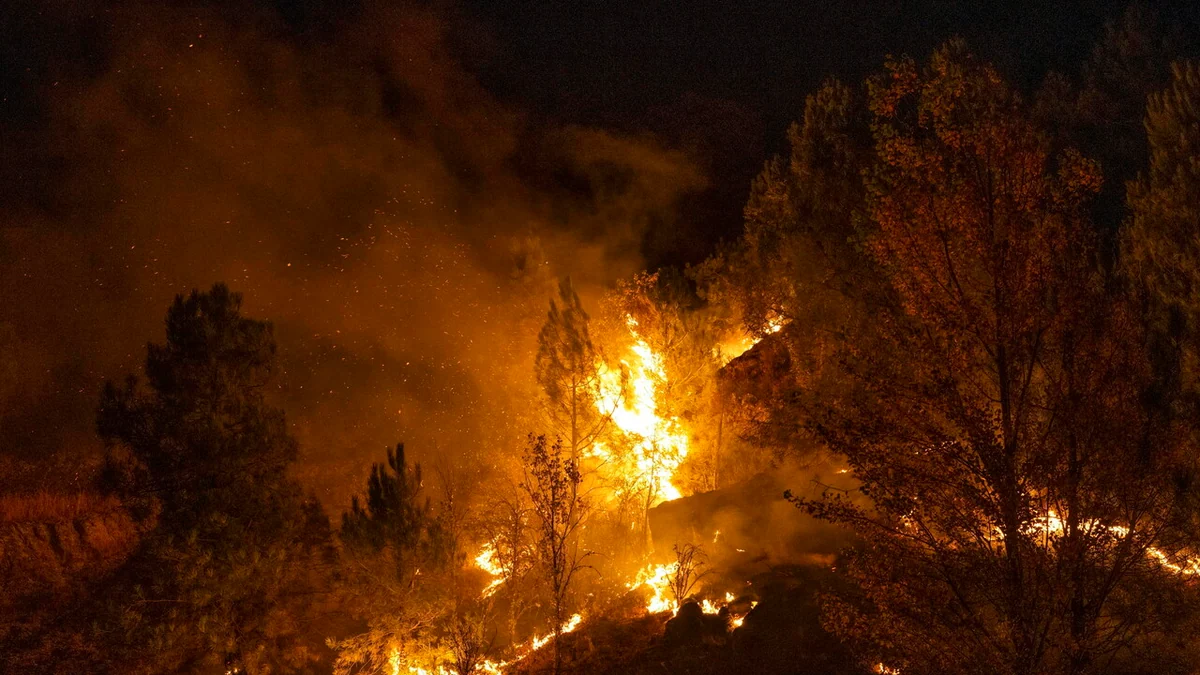 Bosco in fiamme in Spagna, almeno 12 morti