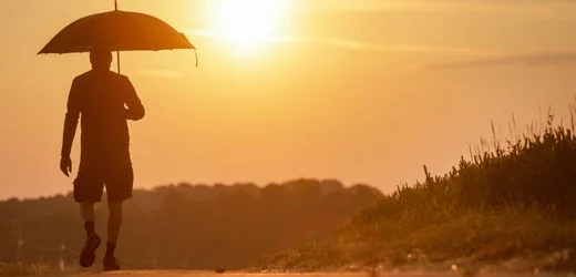 Extremwetter in Deutschland: Fünf Lehren aus der Hitzewelle