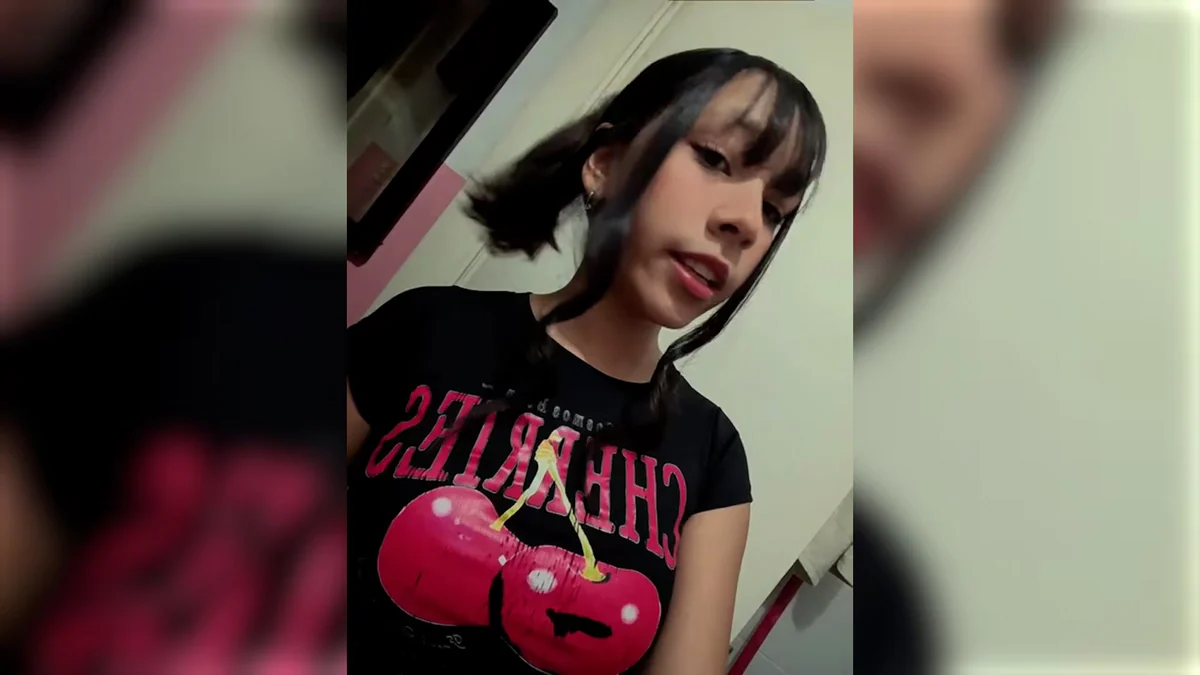 Caso Agostina Vera, en vivo: habló la dueña del Ford Ka que usó Barrelier para descartar el cuerpo de Agostina