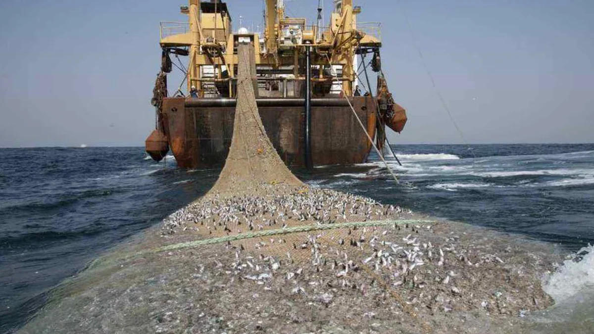 Un proyecto de ley propone agravar las penas por pesca ilegal con cárcel y multas millonarias