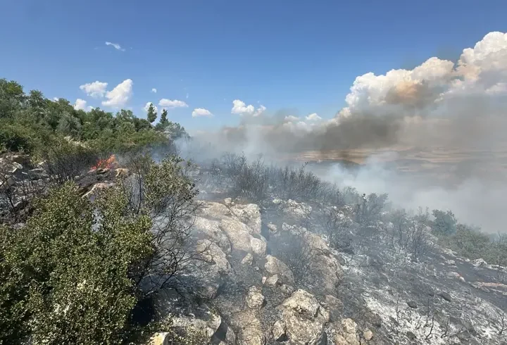 Gaziantep'te orman yangınında yaklaşık 1 hektarlık alan zarar gördü