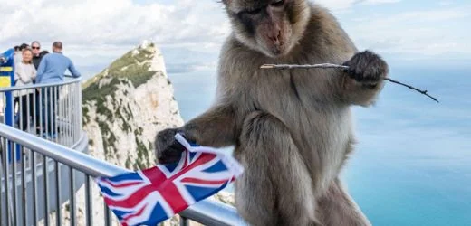 Spanien und Gibraltar heben Grenzkontrollen auf