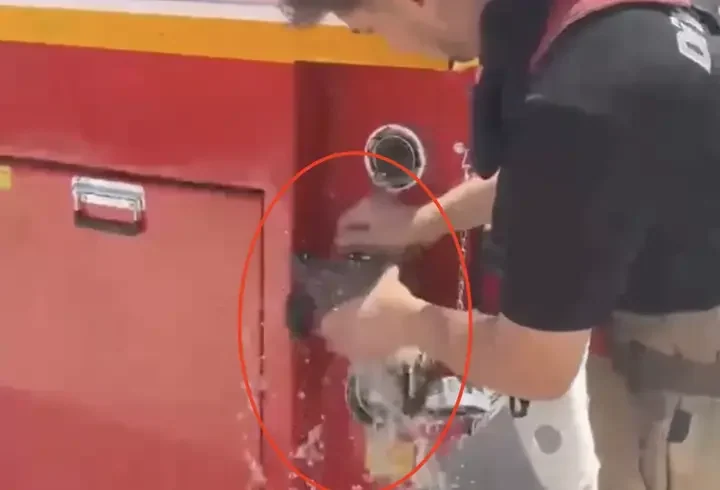 Anız yangınında kaplumbağayı itfaiye kurtardı