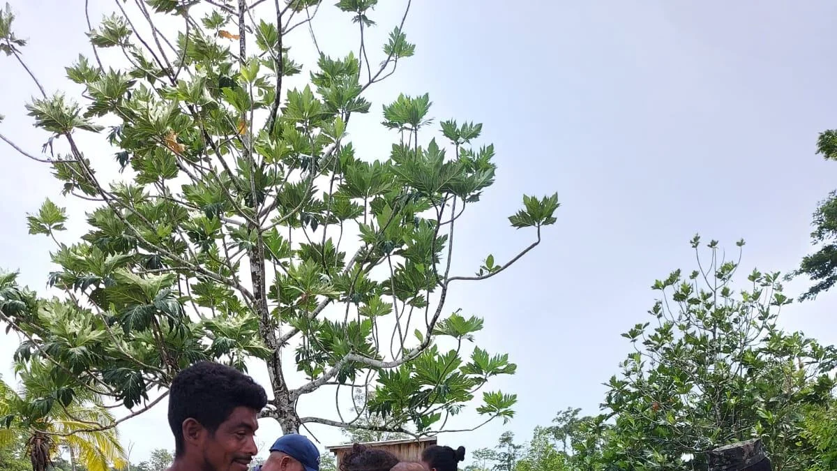 Honduras: Autoridades evalúan declarar emergencia en Gracias a Dios por fuertes lluvias