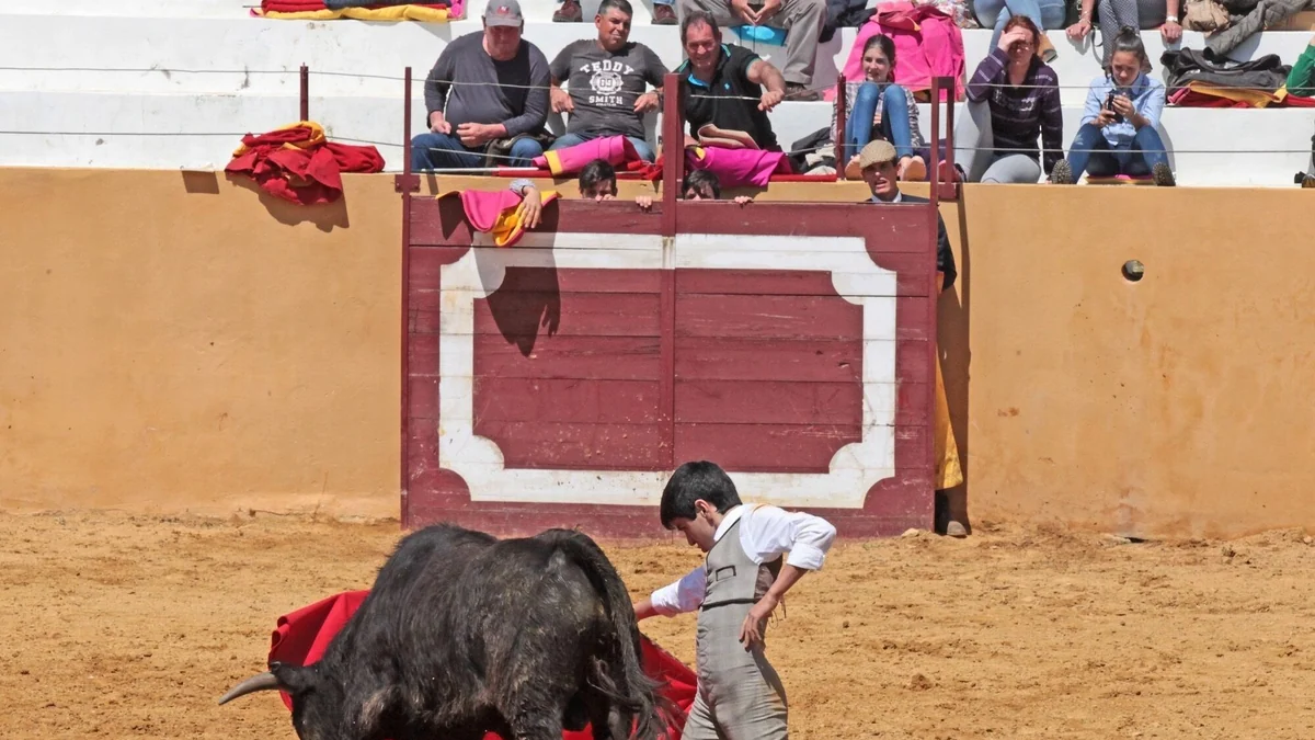 Polémica por la creación de un palco infantil en la Feria de San Juan de Badajoz para acercar la tauromaquia a los menores