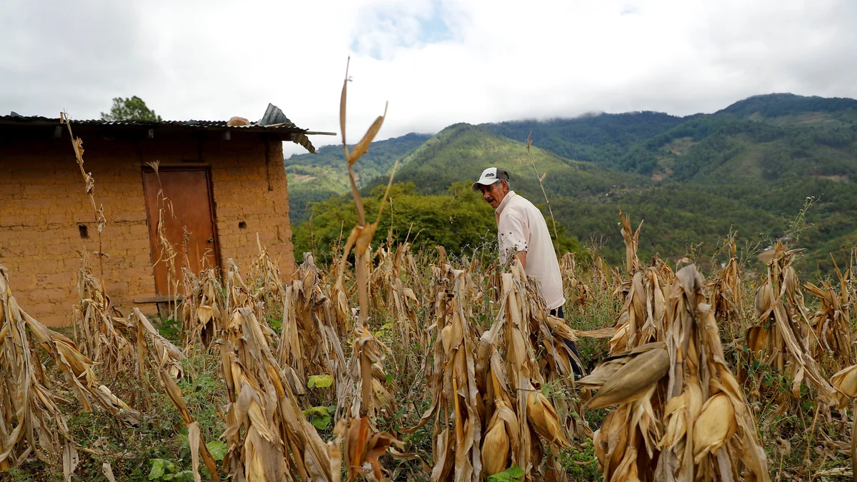 El 23% de la población centroamericana bajo presión económica por inseguridad alimentaria