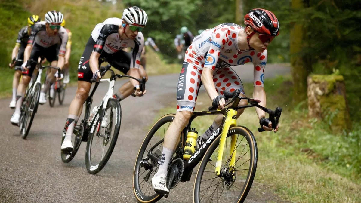 Vingegaard si ritira dopo una caduta: colpo di scena al Tour, era secondo in classifica