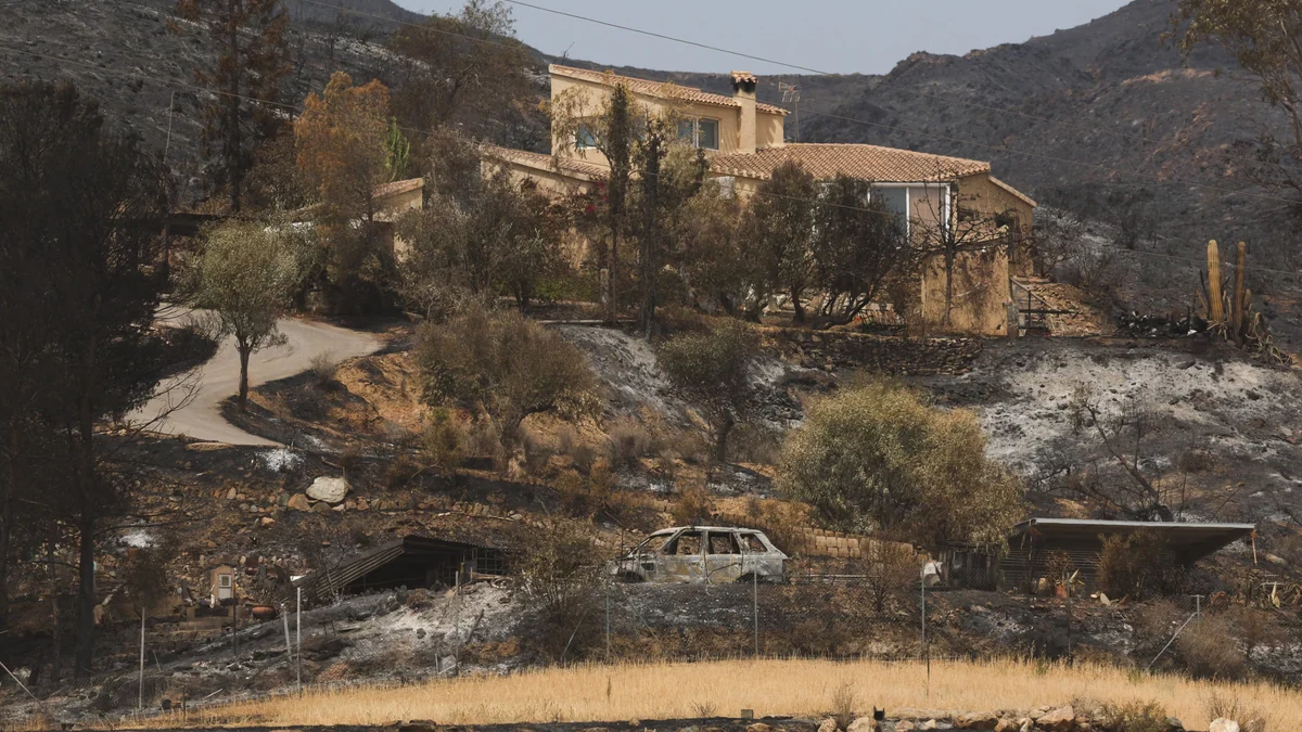 El incendio de Los Gallardos muestra “el impacto de la inacción y el negacionismo climático del Gobierno de Andalucía”