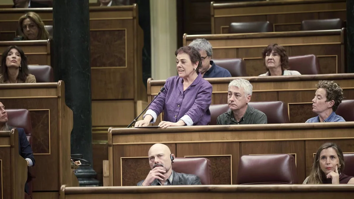 Bildu advierte a Sánchez que no basta con "resistir" y debe actuar ante la corrupción y avanzar en la plurinacionalidad