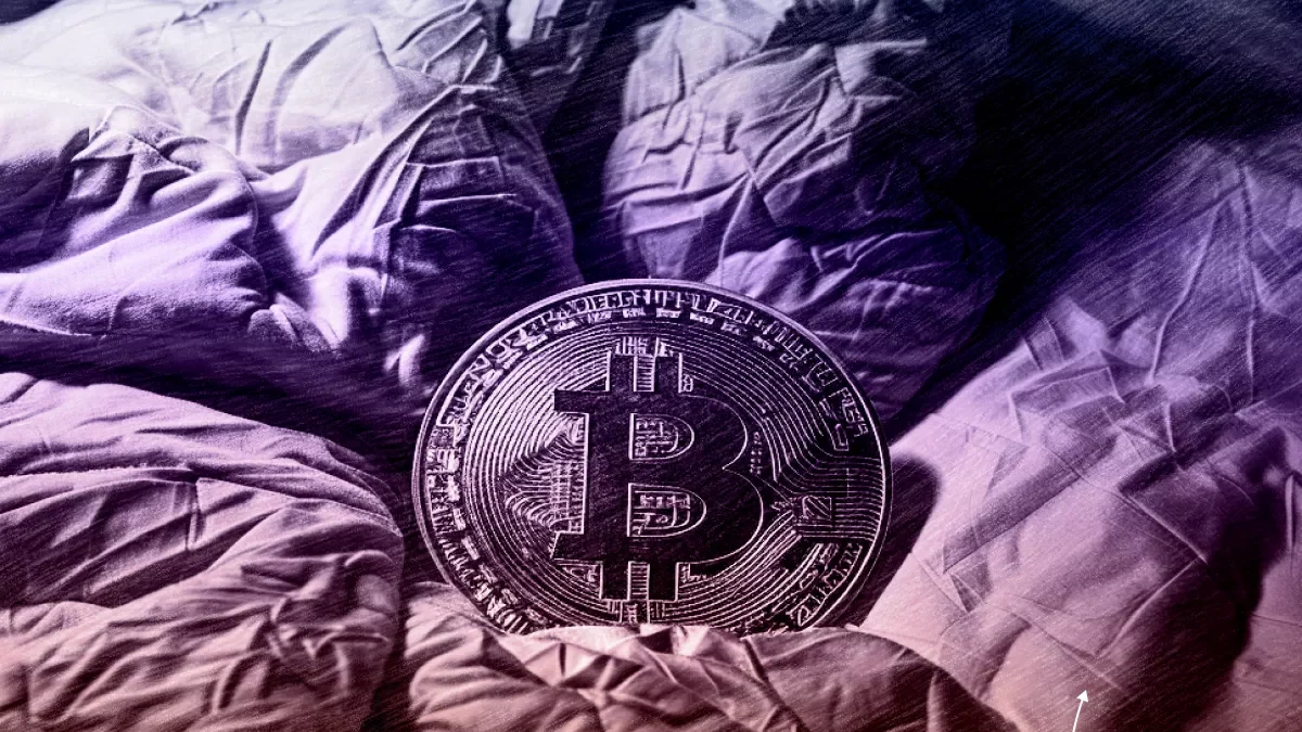 Digital Chamber призвала отклонить иск о неактивных биткоин-адресах