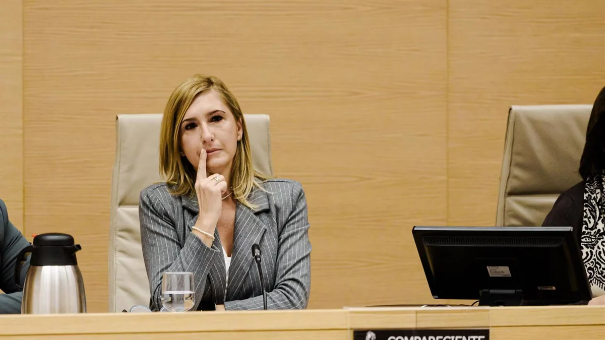 Chófer de Pradas el 29O dice a la jueza que no recuerda conversaciones y relata que en un trayecto vieron "un tornado"