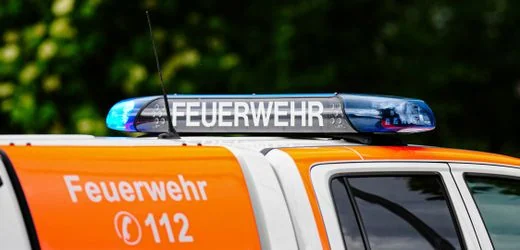 Halstenbek: Vermeintliche Giftschlange entpuppt sich als KI-Fake-Foto
