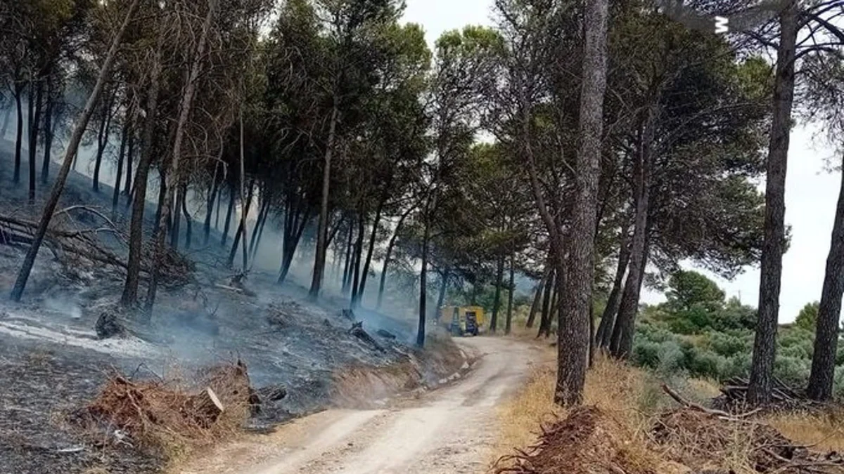 Controlado el incendio forestal en Rute, que mantiene una autobomba y un retén