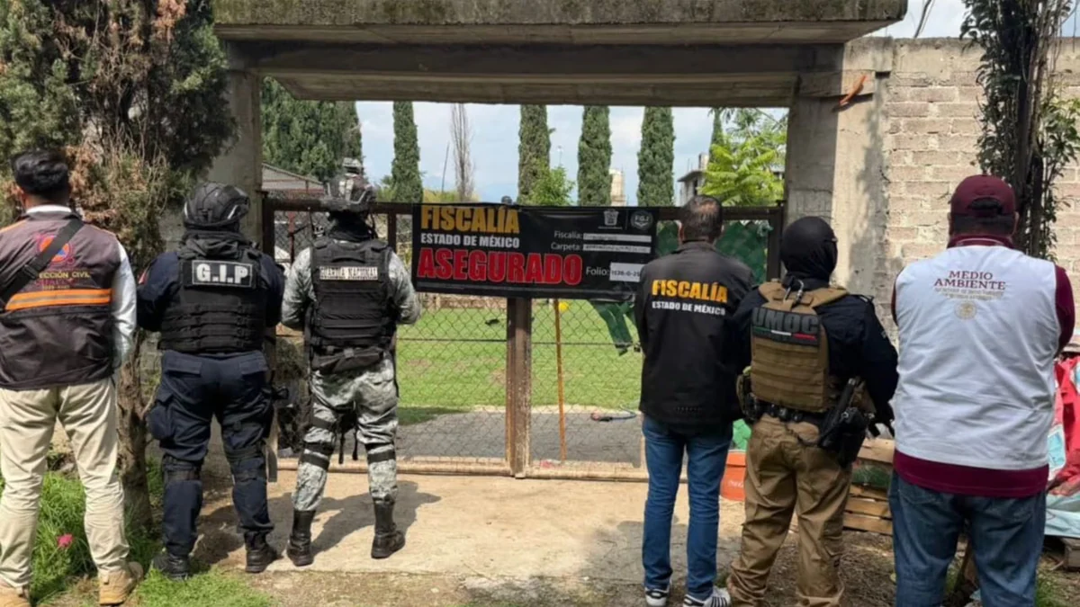 Autoridades aseguran distintos ejemplares de especies exóticas en Chalco