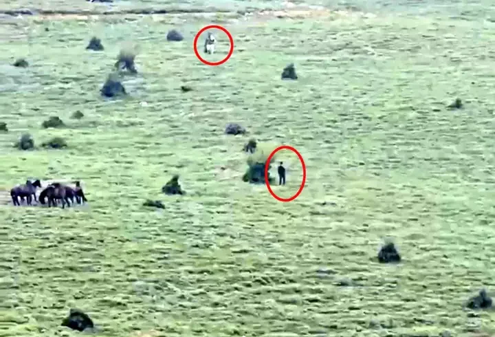 Yılkı atı hırsızları kamerada