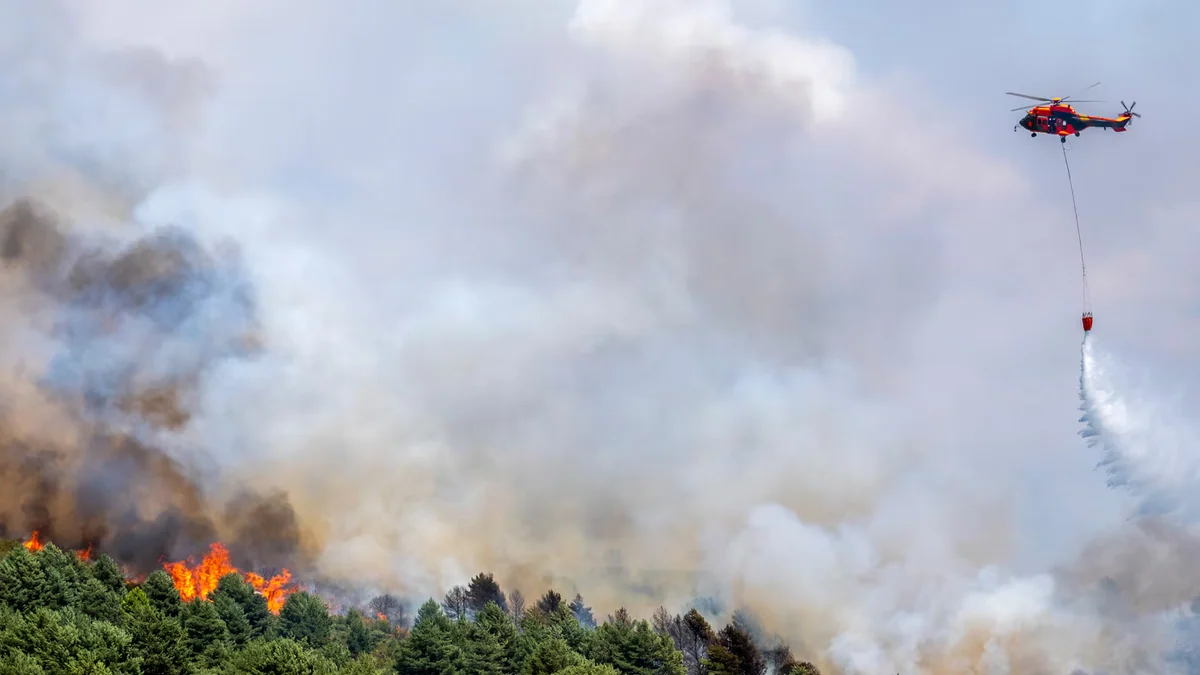 El incendio de Guadalajara roza las 30.000 hectáreas quemadas y ya hay 34 municipios desalojados