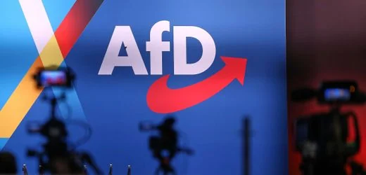 AfD: Neuer Parteisprecher kommt vom Institut der deutschen Wirtschaft