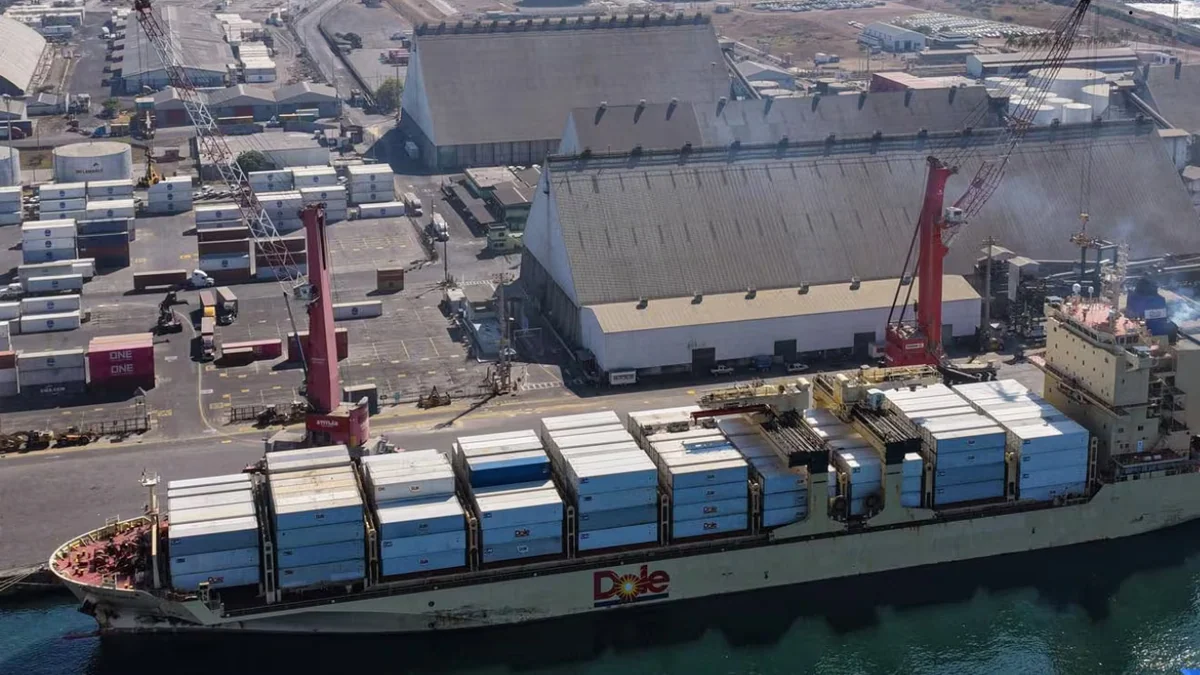 Las exportaciones de Guatemala crecieron 5,5 % y sumaron USD 7.199 millones hasta mayo