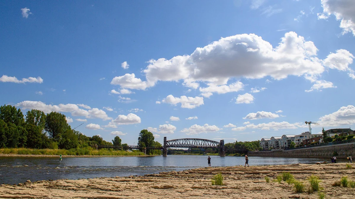 Plattform für Niedrigwasser: Wo Deutschland das Wasser ausgeht