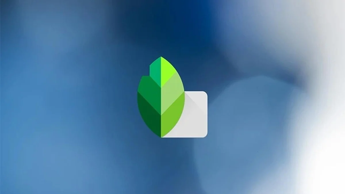 Google Snapseed 4.0 Android güncellemesiyle baştan tasarlandı
