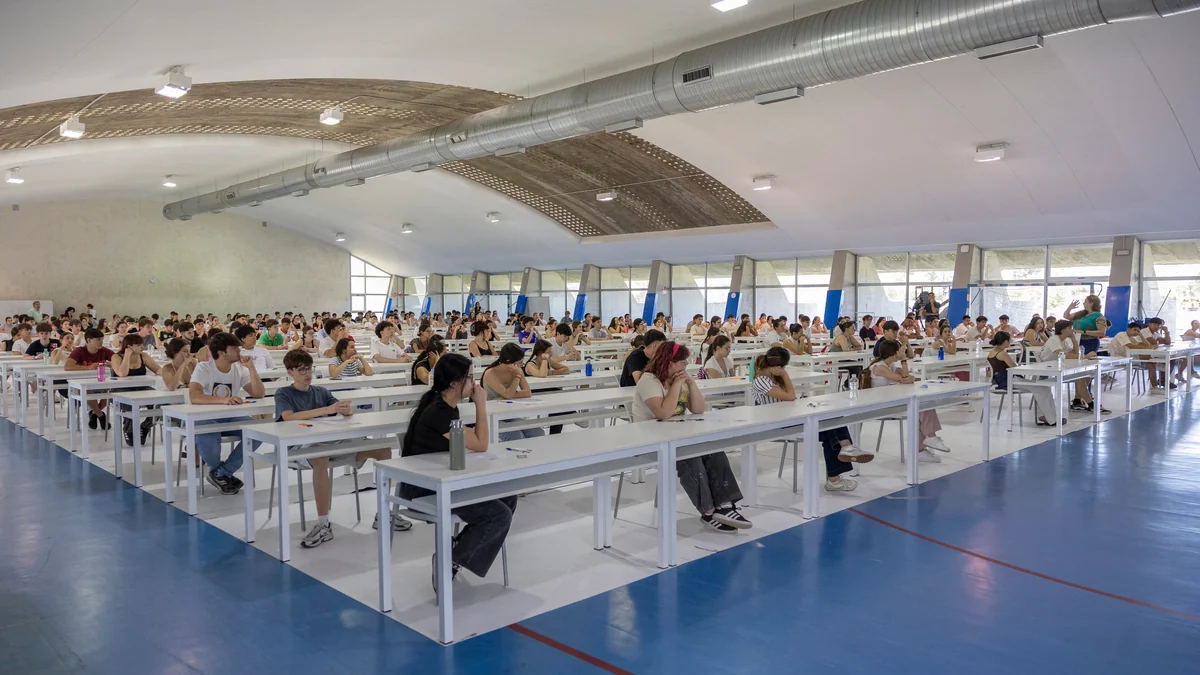 Las carreras universitarias con mejor sueldo y más salidas laborales, según esta calculadora con datos del INE
