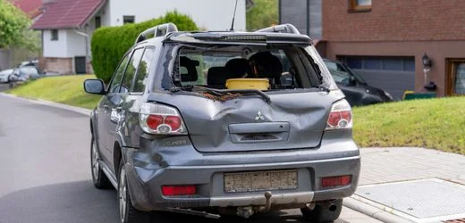 Brachttal in Hessen: Bulle randaliert auf Straße und wird von Jäger erlegt