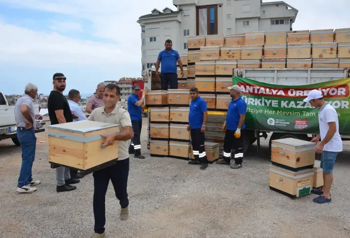 Büyükşehir’den Antalya’nın dört bir yanına arı kovanı desteği