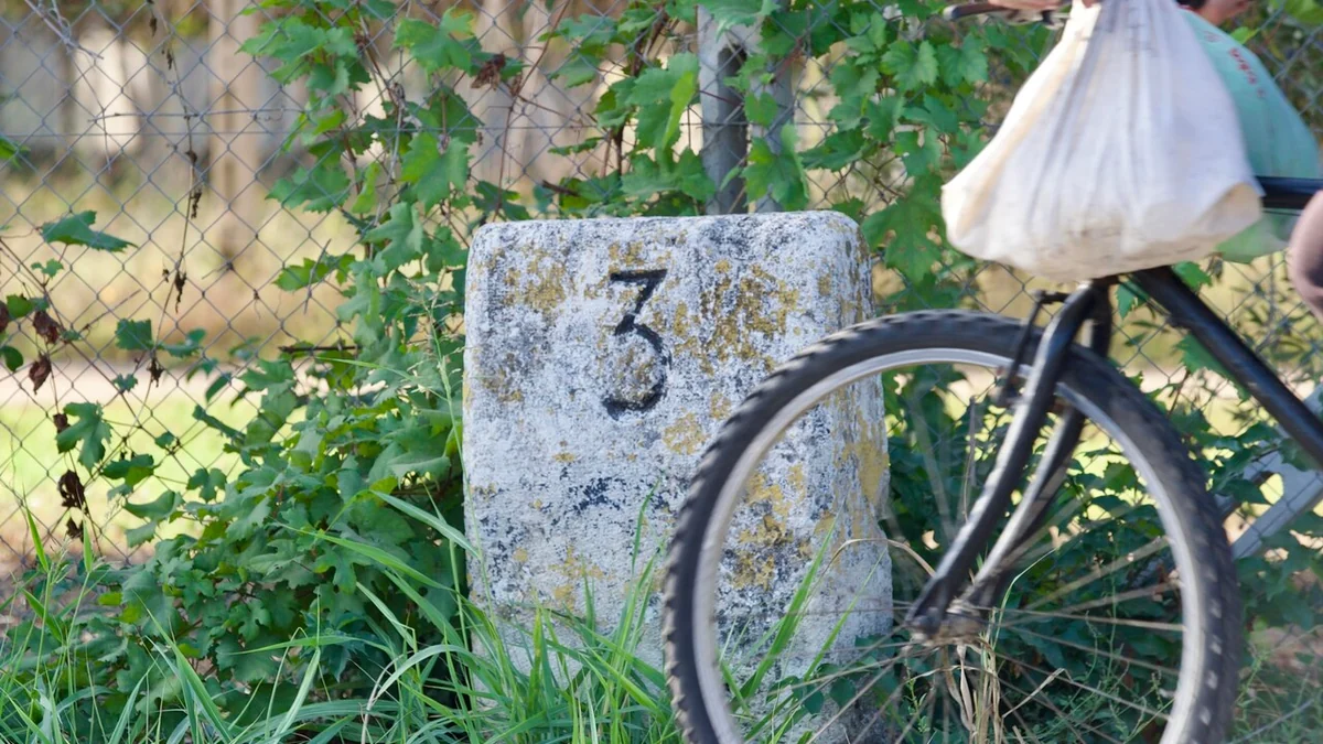 Travolto dalla bici di Paolo Belli, muore dopo un giorno di agonia