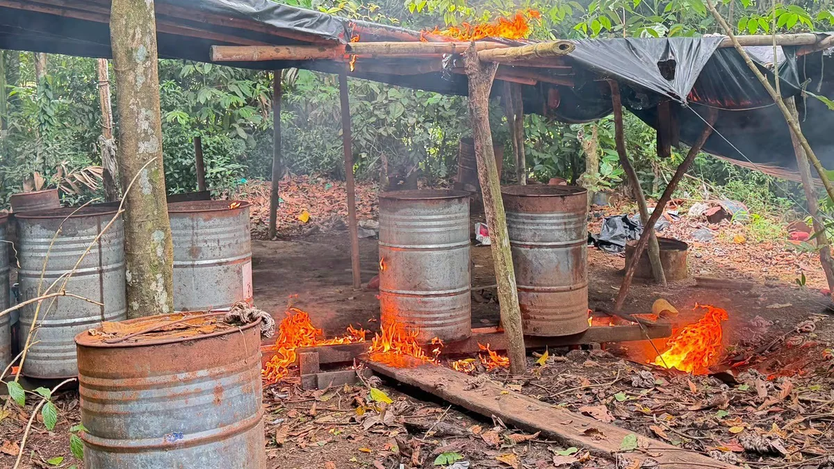 Fuerza Aérea Colombiana y Policía Nacional destruyeron 14 laboratorios de droga en Tumaco, Nariño