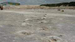 Dinosaur highway 'longest of its kind in the world'